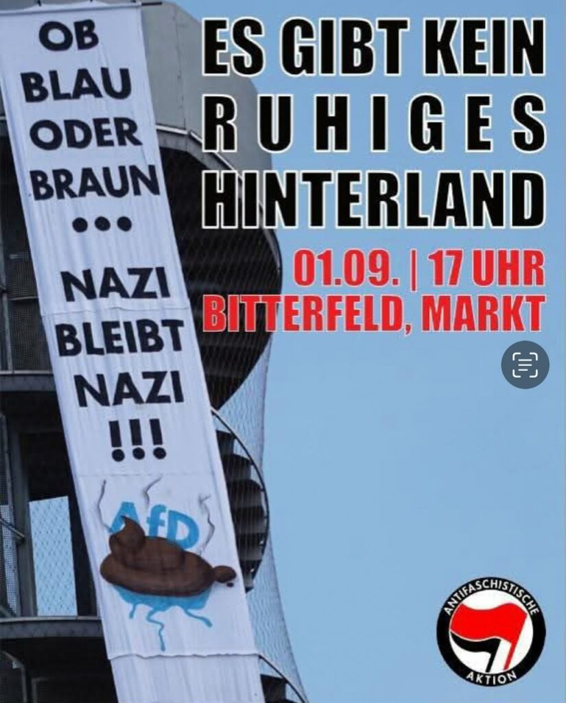 Plakat mit dem Slogan 'Es gibt kein ruhiges Hinterland' in großen schwarzen Buchstaben, daneben ein vertikales Transparent mit der Aufschrift 'Ob blau oder braun... Nazi bleibt Nazi!!!' und einer gezeichneten Schildkröte mit braunem Panzer. Unten rechts das Logo der Antifaschistischen Aktion.