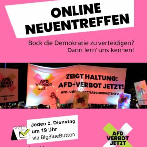 Plakat mit pinkem Hintergrund und schwarzer Schrift 'ONLINE NEUENTREFFEN'. Darunter Text 'Bock die Demokratie zu verteidigen? Dann lern' uns kennen!'. Unten ein Foto von Protestplakaten mit Aufschrift 'AFD VERBOT JETZT!' und 'ZEIGT HALTUNG: AFD-VERBOT JETZT!'.