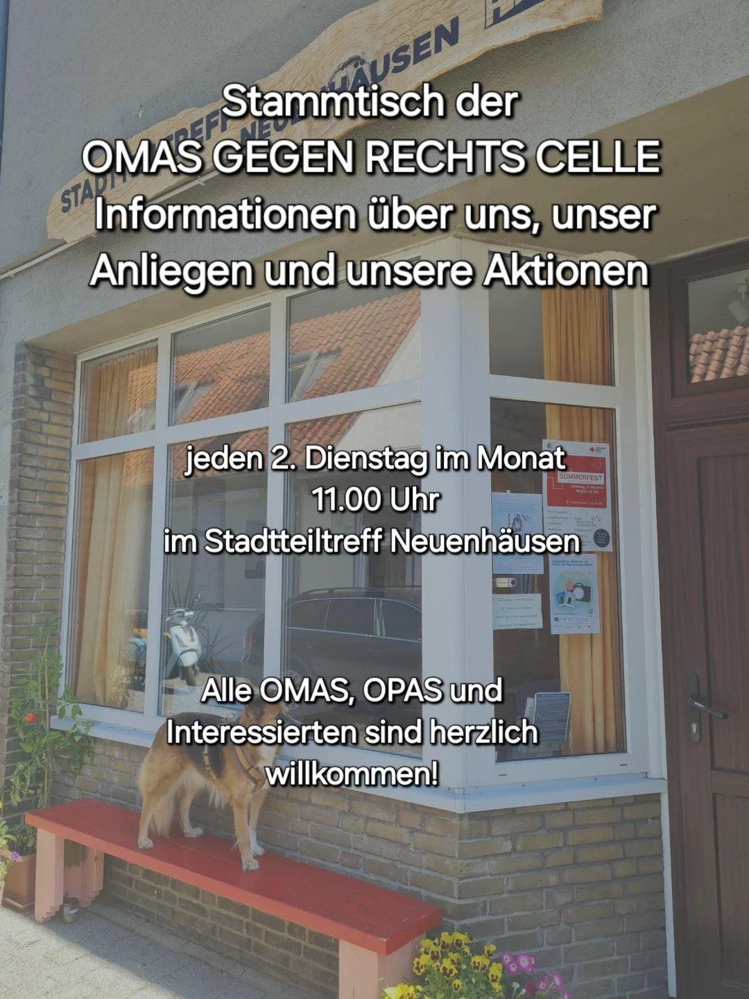 Plakat mit weißer Schrift über einem Fenster mit roter Bank und Hund, bewirbt Stammtisch der 'OMAS GEGEN RECHTS CELLE' und lädt Interessierte ein