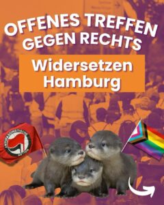 Plakat mit weißer Schrift 'Offenes Treffen gegen Rechts' und orangefarbenem Banner mit 'Widersetzen Hamburg'. Drei Otter im Vordergrund, darunter ein Antifaschistische Aktion-Logo links und eine Regenbogenflagge mit Progress Pride-Design rechts. Hintergrund zeigt verschwommene Menschenmenge in Orange- und Violetttönen.
