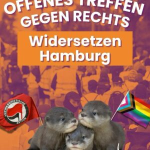 Plakat mit weißer Schrift 'Offenes Treffen gegen Rechts' und orangefarbenem Banner mit 'Widersetzen Hamburg'. Drei Otter im Vordergrund, darunter ein Antifaschistische Aktion-Logo links und eine Regenbogenflagge mit Progress Pride-Design rechts. Hintergrund zeigt verschwommene Menschenmenge in Orange- und Violetttönen.