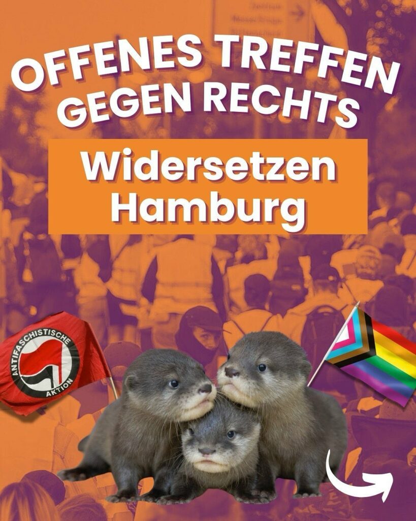 Plakat mit weißer Schrift 'Offenes Treffen gegen Rechts' und orangefarbenem Banner mit 'Widersetzen Hamburg'. Drei Otter im Vordergrund, darunter ein Antifaschistische Aktion-Logo links und eine Regenbogenflagge mit Progress Pride-Design rechts. Hintergrund zeigt verschwommene Menschenmenge in Orange- und Violetttönen.